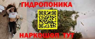 ГАЛЛЮЦИНОГЕННЫЕ ГРИБЫ Кингисепп