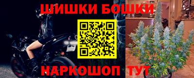 ГАЛЛЮЦИНОГЕННЫЕ ГРИБЫ Кингисепп