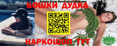ГАЛЛЮЦИНОГЕННЫЕ ГРИБЫ Кингисепп