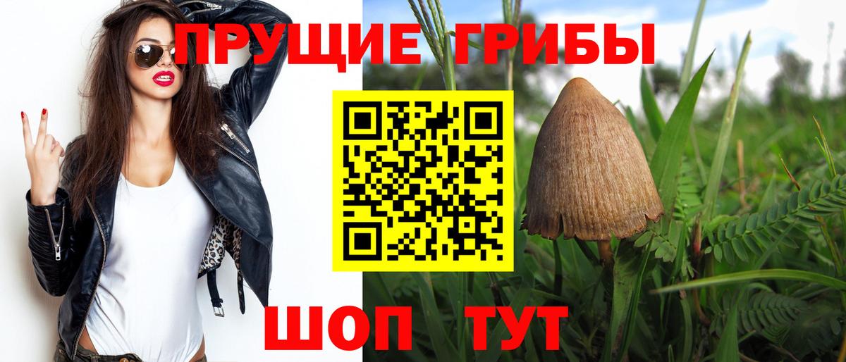 Галлюциногенные грибы мухоморы Знаменск
