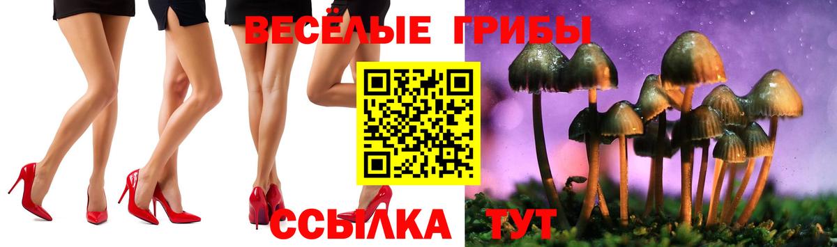 где можно купить наркотик  Псилоцибиновые грибы MAGIC MUSHROOMS  Знаменск  Вход с VPN  Галлюциногенные грибы мухоморы 