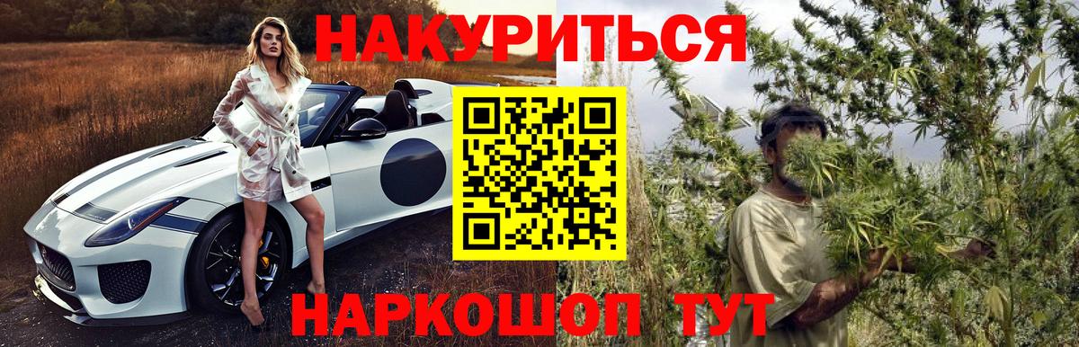 Бошки Шишки конопля Знаменск